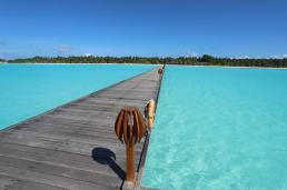 HOLIDAY ISLAND RESORT & SPA