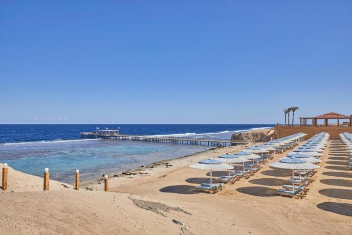 Solymar Reef Marsa