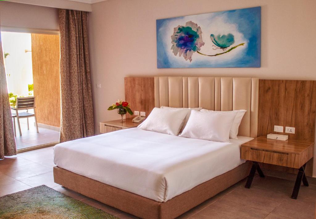 Hotel Pickalbatros Water Valley Resort