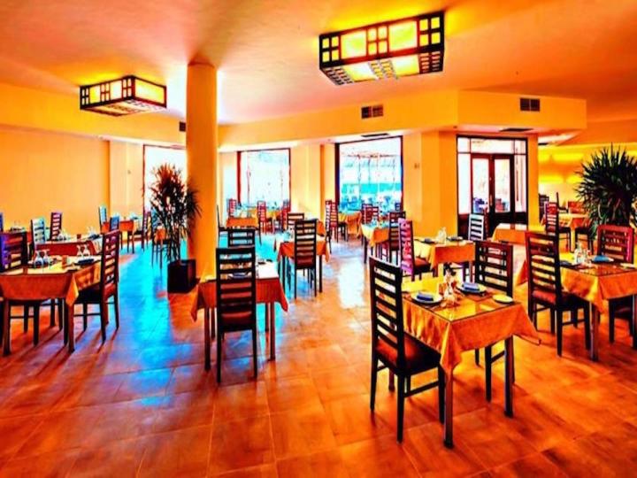 Viva Blue Resort and Diving - Sharm el Naga