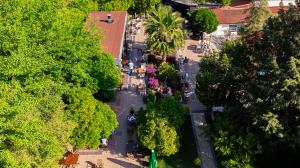 DG Rose Resort