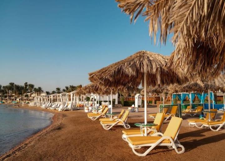 Lemon and Soul Makadi Bay