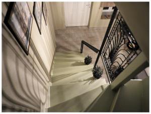 Vila Cozy House